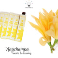 Nag Champa Incense Natural Aromatic Incense Sticks – 150 Count (10 Packs of 15)