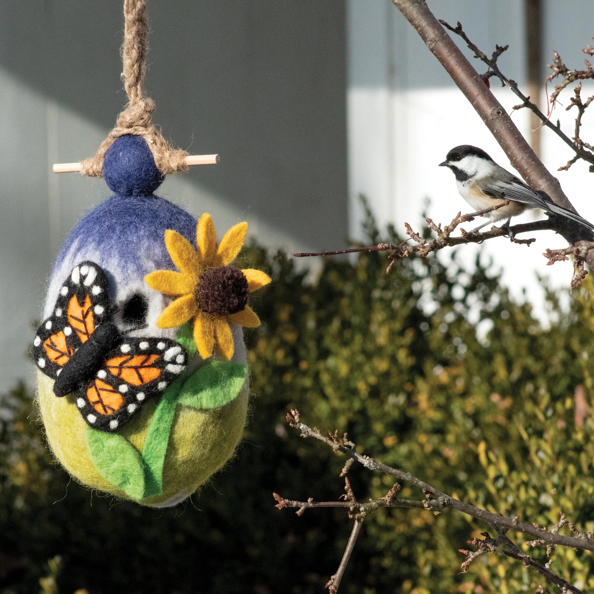 Birdhouse: Butterfly Garden
